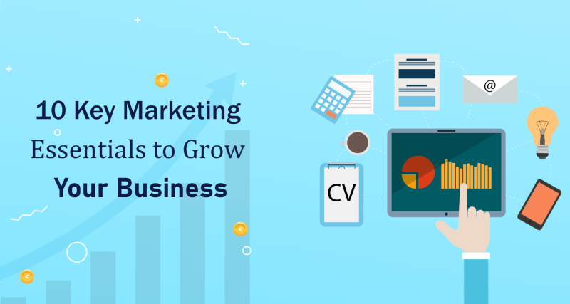 Marketing Essentials to Grow Your Business